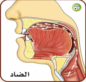 Quranic Arabic Alphabet - Full Guide 5 AD 4nXcJm0aXdNlNmAiy 3k74QJvsLkmGBcYCxePVnm1TnoxVd7IWTO4CtrE9ru3OVvnv3XvYVMkKHthnUSFQuT0T2txlJJFxhdAUxtb QO2mCttBniCDucF1S Ct5M5L104DkpNIRZtUQ