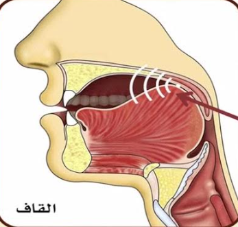 Quranic Arabic Alphabet - Full Guide 8 AD 4nXeKcUjPI gZRdii9OG4BLl23bmAlQXOy6Q8O1FdtShk9uoRWVBnBJTffwNYbPFbLNO13mnaxWImaUtfbIyzCzDlNLvR4qfmJtwWkIm7GHmLzF qxJwc1K4voaBnzEW sSDc7IaQNw