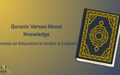 Quranic Verses About Knowledge (Quotes on Education in Arabic & English)
