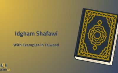 Idgham Shafawi إدغام شفوي With Examples in Tajweed