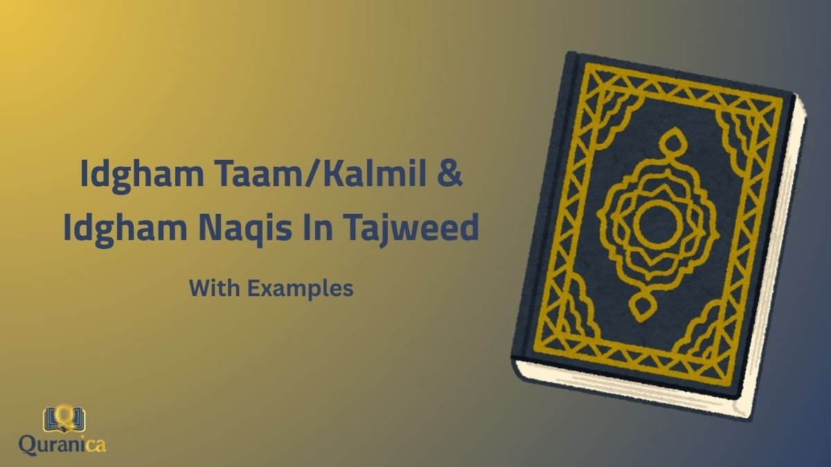 Idgham TaamKalmil & Idgham Naqis Idgham Taam/Kalmil & Idgham Naqis