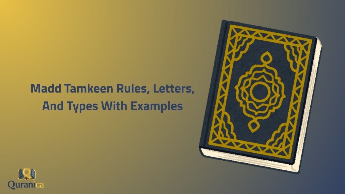 Madd Tamkeen Rules, Letters, And Types With Examples