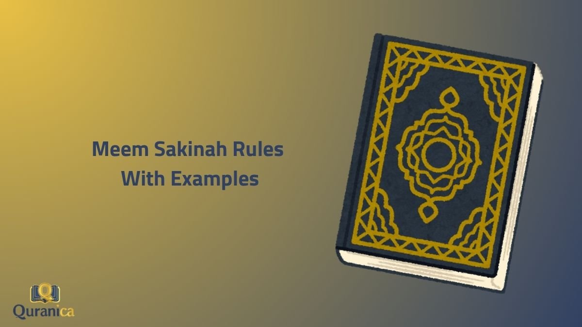 Meem Sakinah Rules With Examples meem sakinah rules