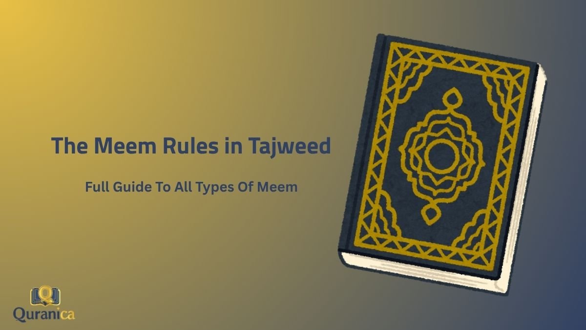 The Meem Rules in Tajweed The Meem Rules in Tajweed