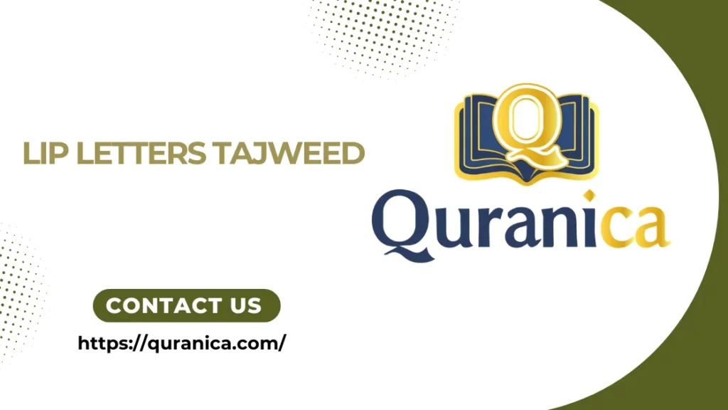 Lip Letters In Tajweed With Examples 1 Lip Letters Tajweed