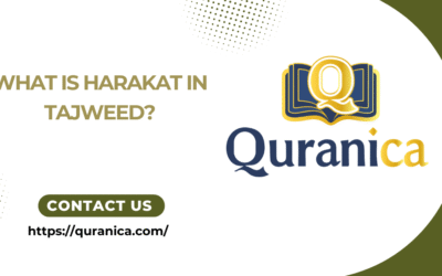 Harakat in Tajweed – Short Vowel Marks (Fatha, Damma, & Kasra) With Examples