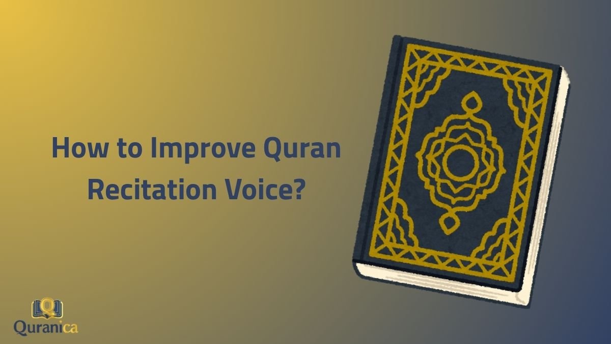 How to Improve Quran Recitation Voice How to Improve Quran Recitation Voice