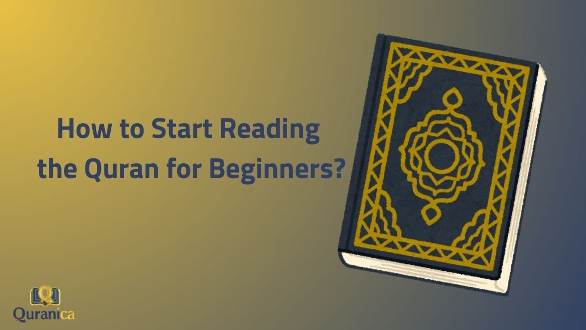 How to Start Reading the Quran for Beginners how to start reading the quran