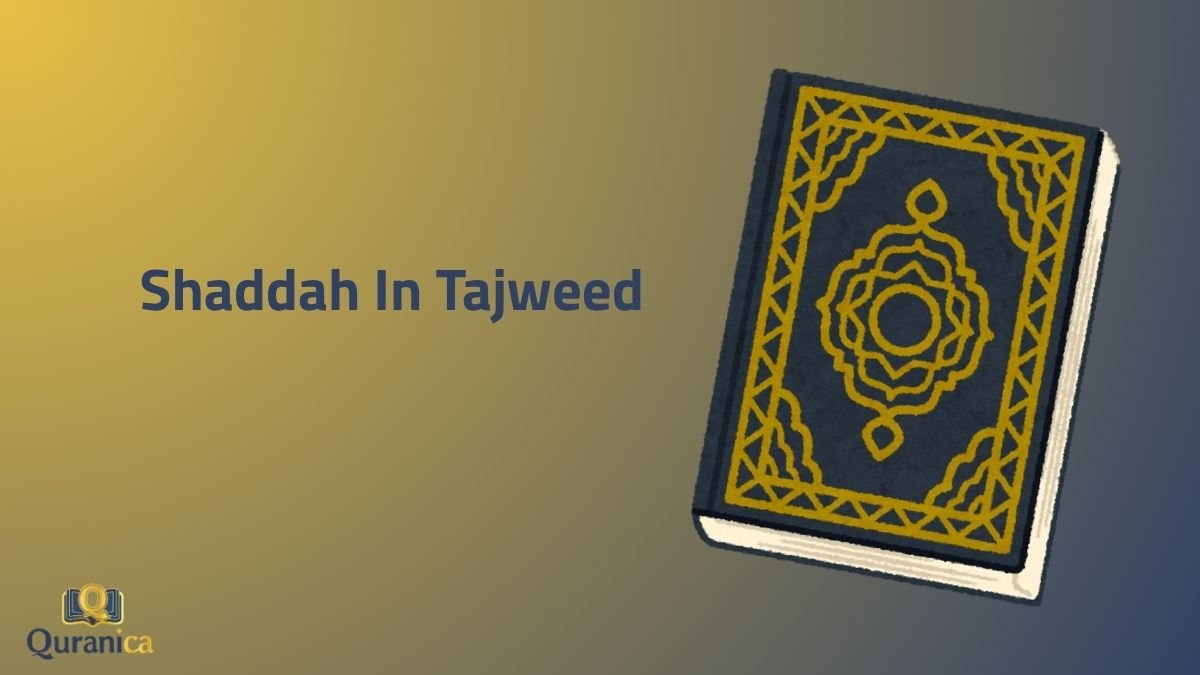 Shaddah In Tajweed Shaddah In Tajweed