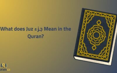 What does Juz جزء Mean in the Quran?