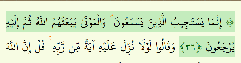 What Do the Small Letters in the Quran Mean? 2 image